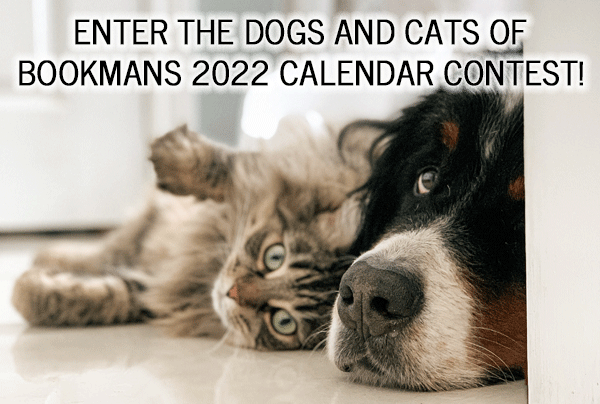large dog and cute cat laying on the floor cute
