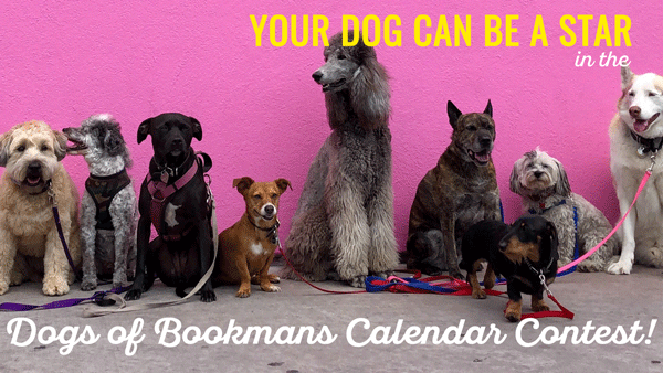 dogs of bookmans calendar contest image dogs of all kinds against a pink background